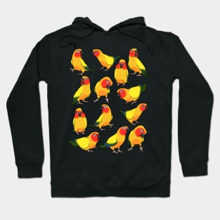 sun conure doodle pattern Hoodie